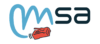 Logo msa avanzadas